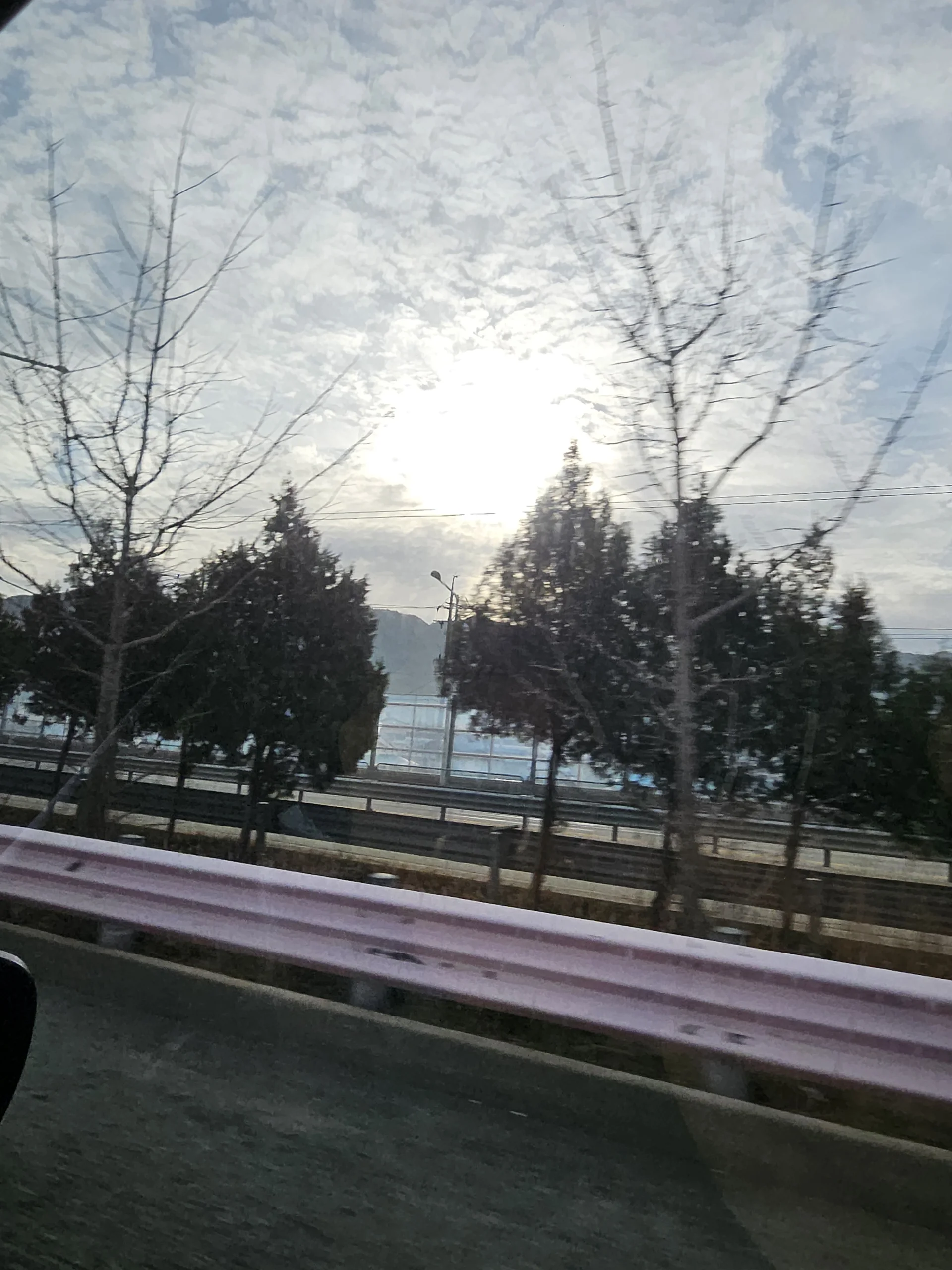 엽채류가 빼곡하게 자란 실내수직농장 재배 선반 사진