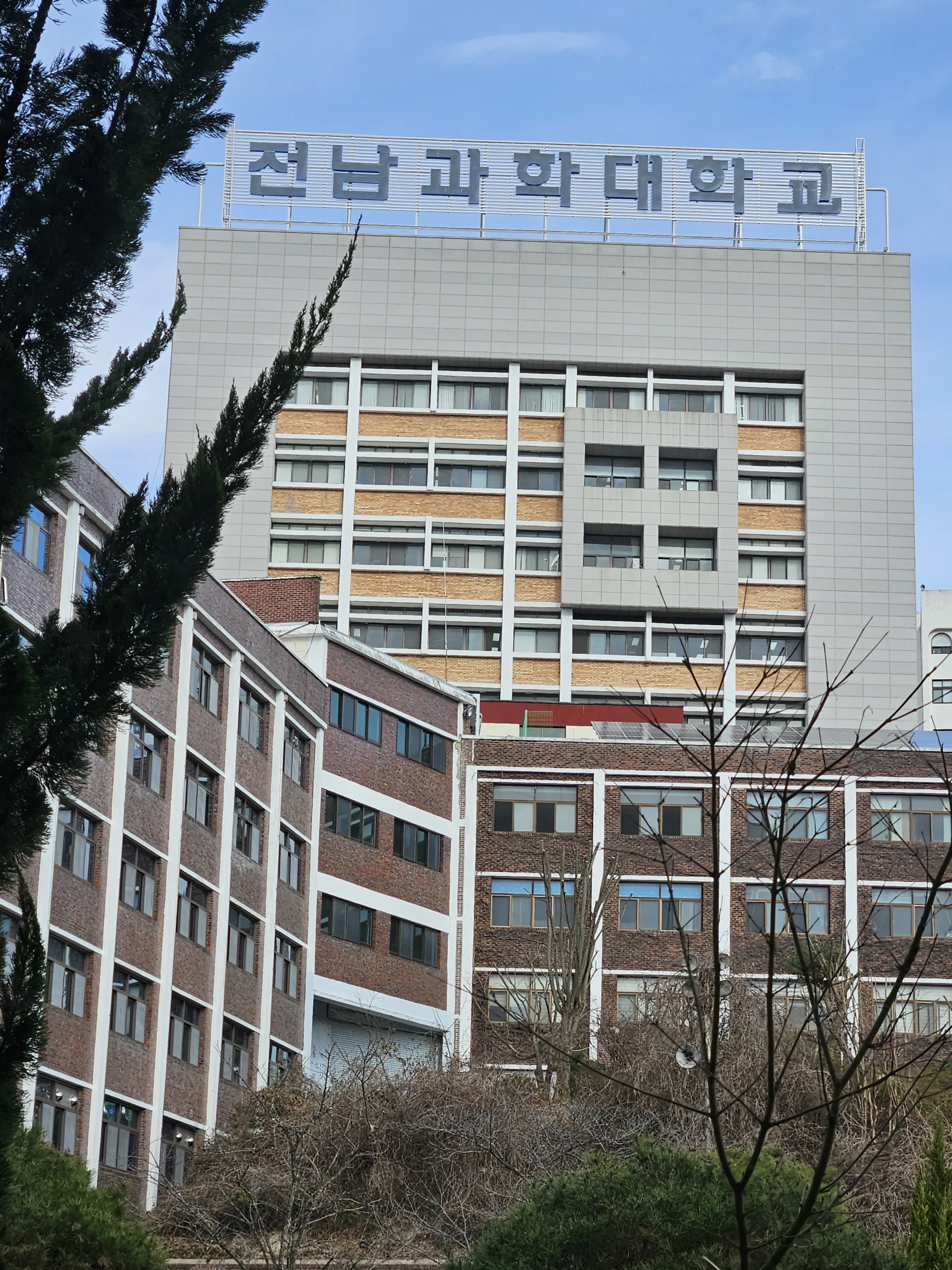 조명 아래에서 생육 중인 실내수직농장 잎채소 근접 사진