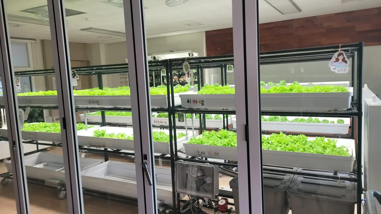 실내수직농장 다단 선반 아래로 급수 배관과 수조가 보이는 재배랙