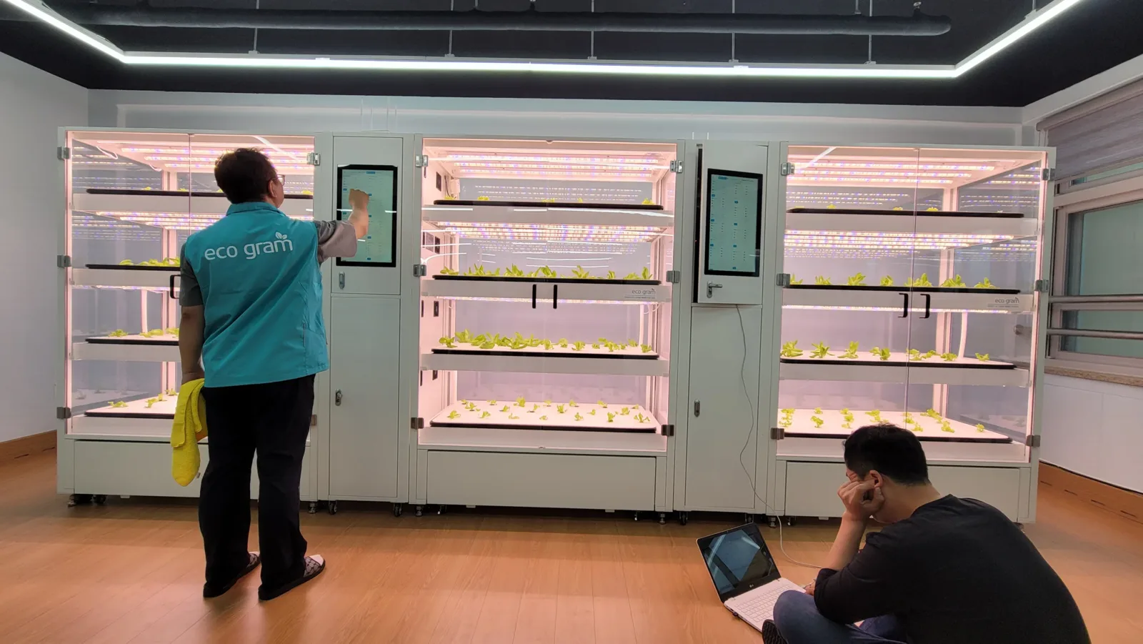 실내수직농장 위생관리 현장에서 작업복을 입고 재배 랙 앞에서 상태를 확인하는 작업자