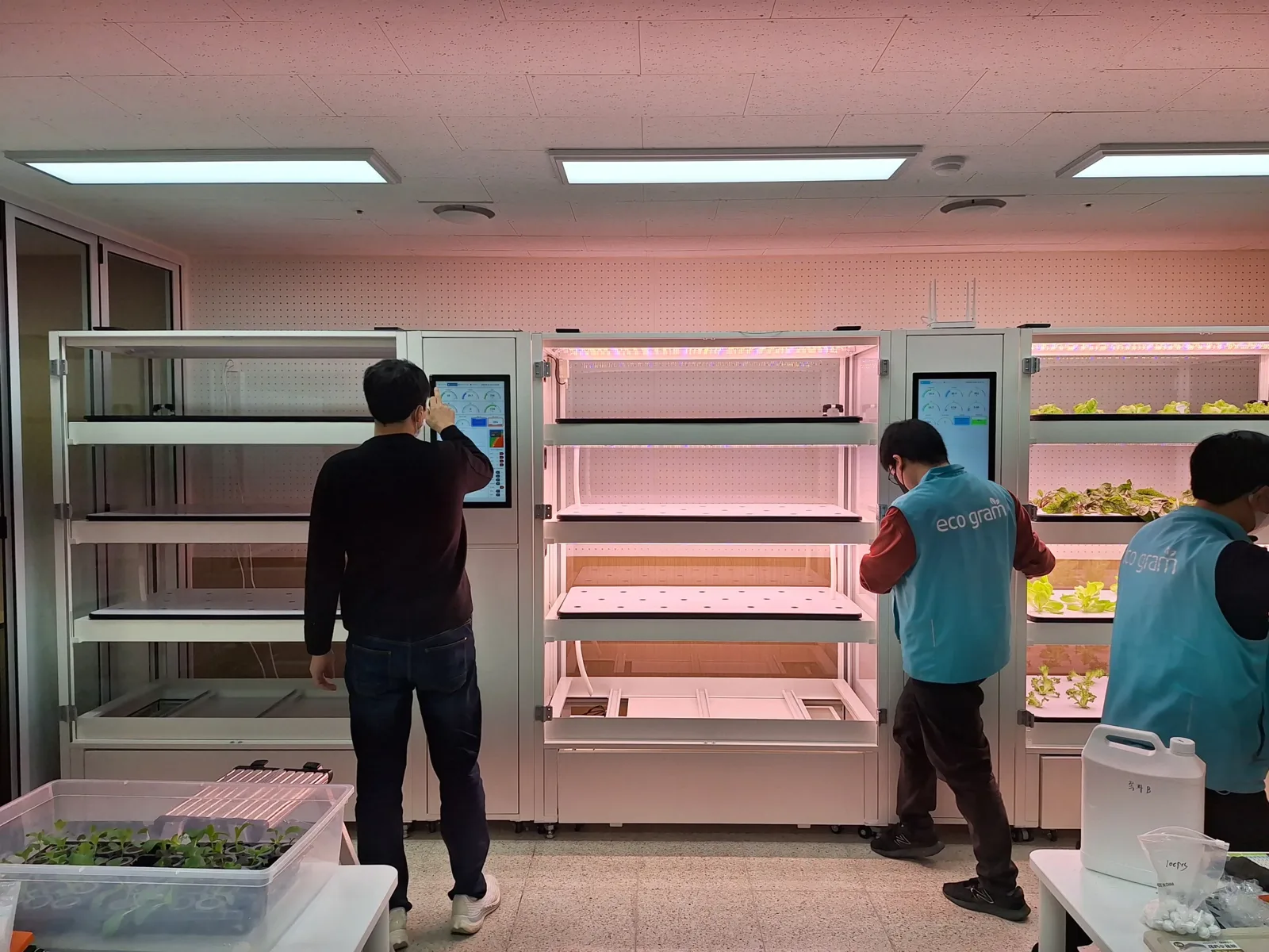 실내수직농장 재배 랙 앞에서 작물 상태와 청결을 함께 확인하는 현장 담당자들