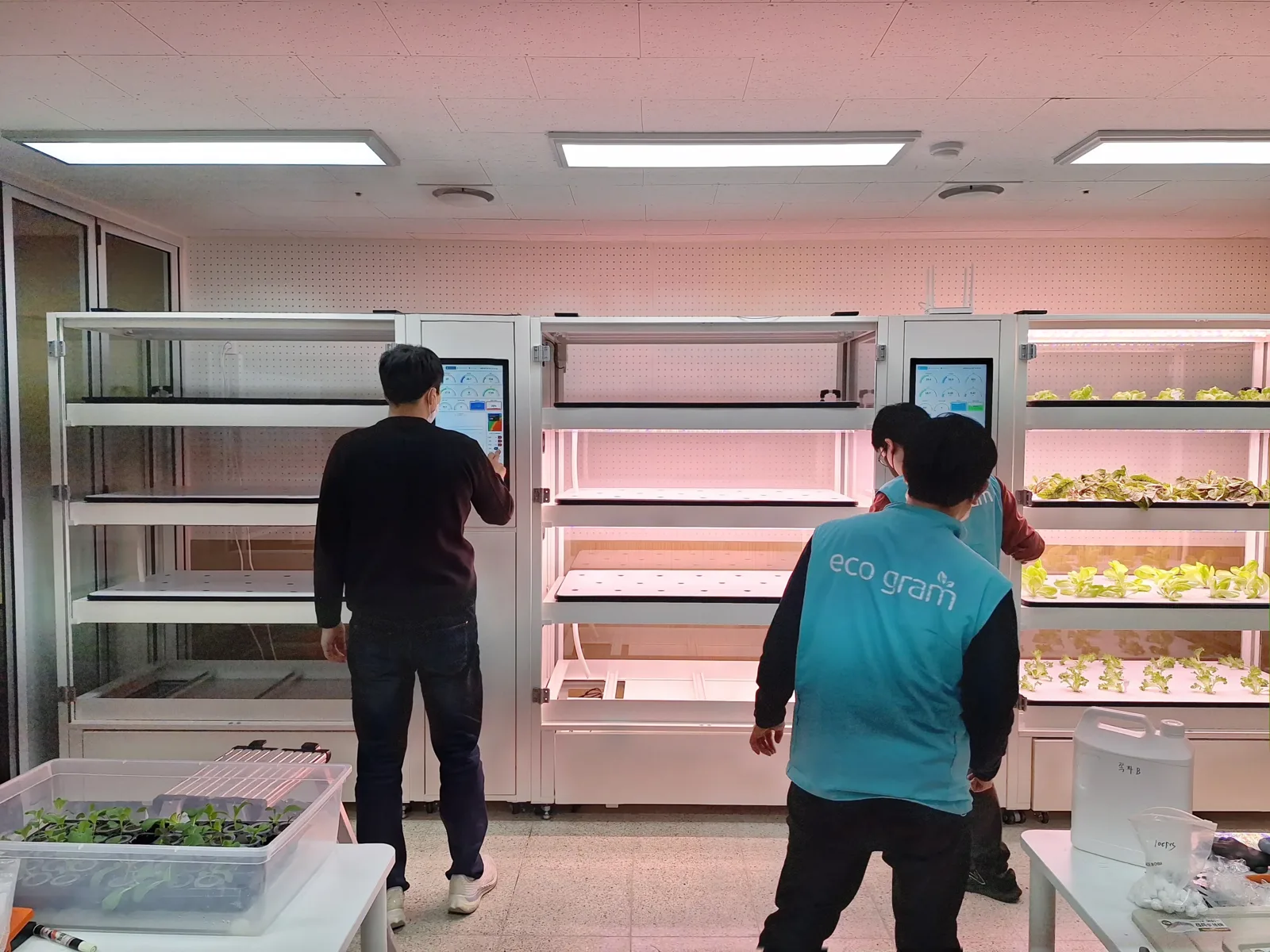 실내수직농장 위생관리 중 조작 화면과 랙 하단을 살피는 작업자